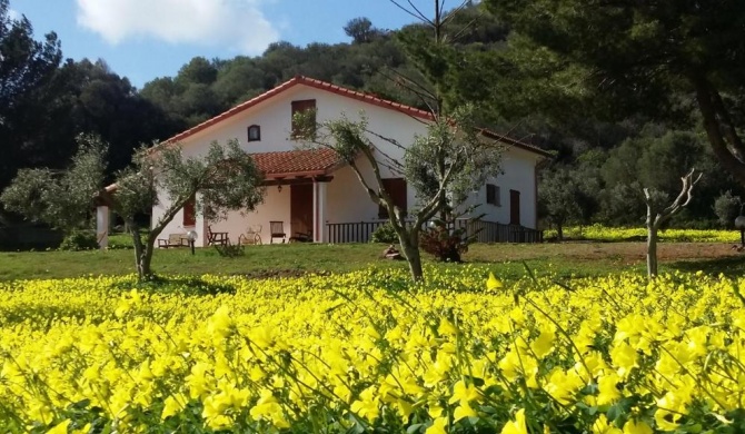 Villa di fronte al mare