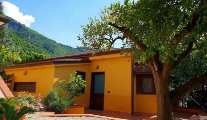Garden House
