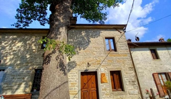 CASINA LA QUERCIA