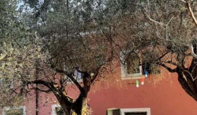 Cascina delle Rose