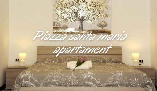 Lovely Piazza Santa Maria Apartment