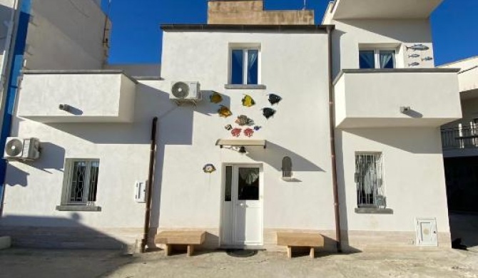 La Conchiglia House