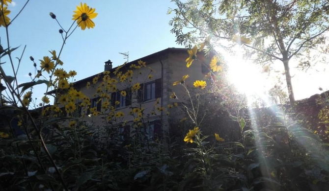Fattoria La Guedrara